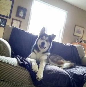 Meet your Posher, Ellen